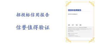 招投标信用报告